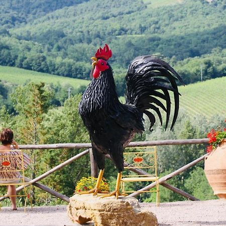Agriturismo Borgo Il Bonagino Radda in Chianti Zewnętrze zdjęcie