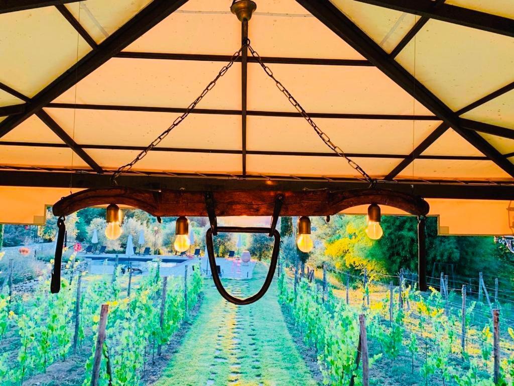 Agriturismo Borgo Il Bonagino Radda in Chianti Zewnętrze zdjęcie
