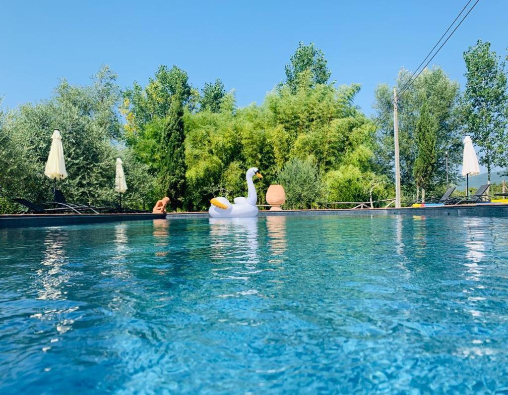 Agriturismo Borgo Il Bonagino Radda in Chianti Zewnętrze zdjęcie