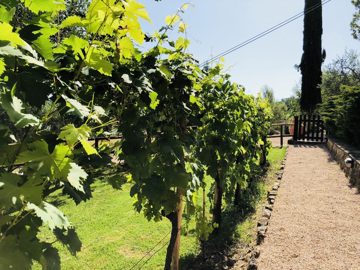 Agriturismo Borgo Il Bonagino Radda in Chianti Zewnętrze zdjęcie