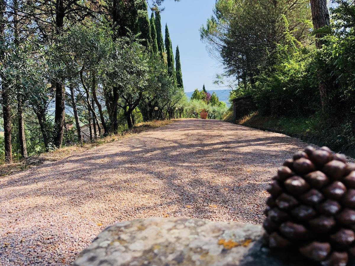Agriturismo Borgo Il Bonagino Radda in Chianti Zewnętrze zdjęcie